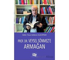 Prof. Dr. Veysel Sönmeze Armağan - Kolektif - Anı Yayıncılık