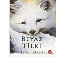 Beyaz Tilki - Jackie Morris - Beyaz Balina Yayınları