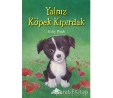 Yalnız Köpek Kıpırdak - Holly Webb - Pegasus Yayınları