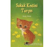 Sokak Kedisi Tarçın - Holly Webb - Pegasus Yayınları