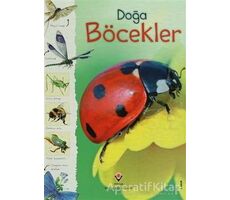 Doğa: Böcekler - Rachel Firth - TÜBİTAK Yayınları