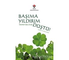 Başıma Yıldırım Düştü! - Jeffrey S. Rosenthal - TÜBİTAK Yayınları