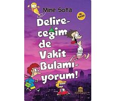 Delireceğim de Vakit Bulamıyorum - Mine Sota - Rönesans Yayınları