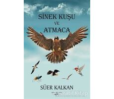Sinek Kuşu ve Atmaca - Süer Kalkan - Sokak Kitapları Yayınları