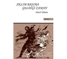 Aklım Başıma Geldiği Zaman - Özkut Özkan - Sokak Kitapları Yayınları