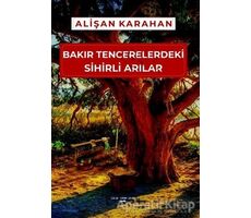 Bakır Tencerelerdeki Sihirli Arılar - Alişan Karahan - Sokak Kitapları Yayınları