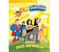 DC Süper Friends - Süper Evcil Hayvanlar - Billy Wrecks - Beta Kids