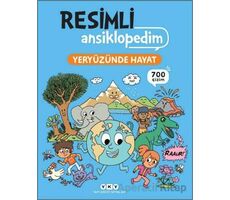 Resimli Ansiklopedim - Yeryüzünde Hayat - Stephane Frattini - Yapı Kredi Yayınları