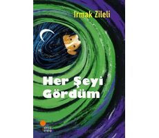 Her Şeyi Gördüm - Irmak Zileli - Günışığı Kitaplığı