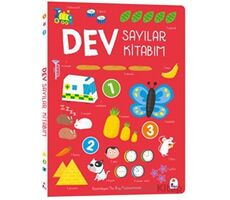 Dev Sayılar Kitabım - The Boy Fitzhammond - İndigo Çocuk