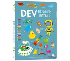 Dev Renkler Kitabım - The Boy Fitzhammond - İndigo Çocuk