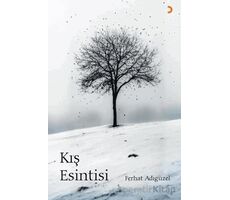 Kış Esintisi - Ferhat Adıgüzel - Cinius Yayınları