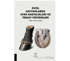 Evcil Hayvanlarda Ayak Hastalıkları ve Tedavi Yo¨ntemleri - Kollektif - Akademisyen Kitabevi