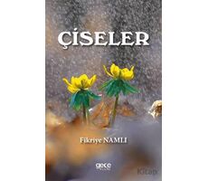 Çiseler - Fikriye Namlı - Gece Kitaplığı