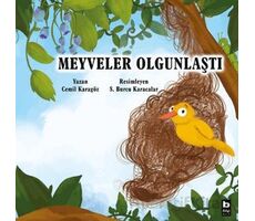 Meyveler Olgunlaştı - Cemil Karagöz - Bilgi Yayınevi