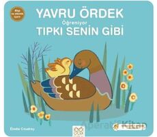 Yavru Ördek Öğreniyor Tıpkı Senin Gibi - Elodie Coudray - 1001 Çiçek Kitaplar