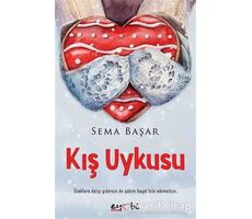 Kış Uykusu - Sema Başar (Poetry Girl) - Eyobi Yayınları