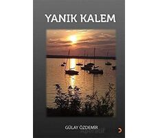 Yanık Kalem - Gülay Özdemir - Cinius Yayınları
