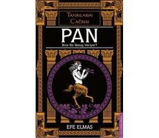 Pan Bize Ne Mesaj Veriyor? - Efe Elmas - Destek Yayınları