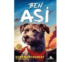 Ben Asi - Ross Montgomery - Kronik Kitap