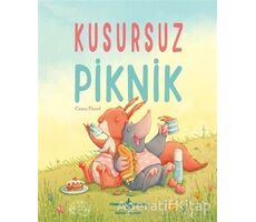 Kusursuz Piknik - Ciara Flood - İş Bankası Kültür Yayınları