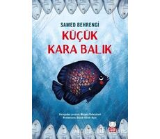 Küçük Kara Balık - Samed Behrengi - Kırmızı Kedi Çocuk