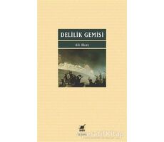 Delilik Gemisi - Ali Akay - Ayrıntı Yayınları