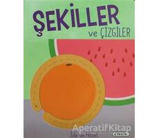 Şekiller ve Çizgiler - Kolektif - Civciv