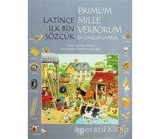 Latince İlk Bin Sözcük - Primum Mille Verborum In Lingua Latina