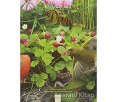 Küçük Bir Düş - Lori Evert - 1001 Çiçek Kitaplar