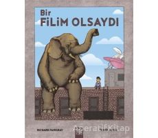 Bir Filim Olsaydı - Richard Fairgray - 1001 Çiçek Kitaplar