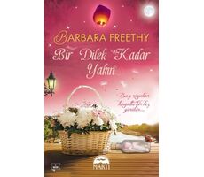 Bir Dilek Kadar Yakın - Barbara Freethy - Novella