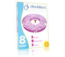 Denklem 8.Sınıf SBS - Seviye Belirleme Sınavı