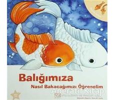 Balığımıza Nasıl Bakacağımızı Öğrenelim - Alejandro Algarra - 1001 Çiçek Kitaplar