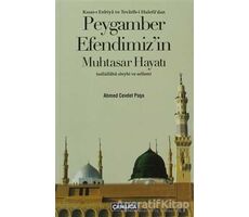 Peygamber Efendimizin Muhtasar Hayatı - Ahmed Cevdet Paşa - Çamlıca Basım Yayın