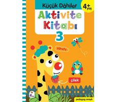 Küçük Dahiler Aktivite Kitabı 3 (4+ Yaş) - Ayça G. Derin - İndigo Çocuk