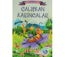 Maceracı Hayvanlar Serisi (10 Kitap) - Mustafa Sağlam - Selimer Yayınları