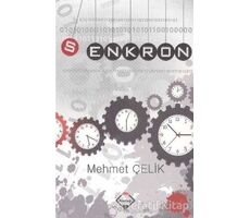 Senkron - Mehmet Çelik - Buzdağı Yayınevi