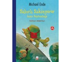 Sabırlı Sakinyürür - İnatçı Kaplumbağa - Michael Ende - Kırmızı Kedi Çocuk