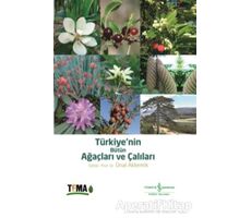 Türkiye’nin Bütün Ağaçları ve Çalıları - Ünal Akkemik - İş Bankası Kültür Yayınları