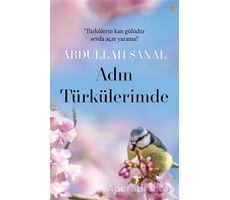 Adın Türkülerimde - Abdullah Şanal - Cinius Yayınları