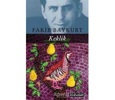 Keklik - Fakir Baykurt - Literatür Yayıncılık