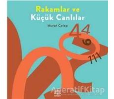 Rakamlar ve Küçük Canlılar - Murat Celep - İletişim Yayınevi