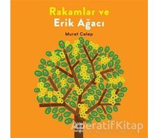 Rakamlar ve Erik Ağacı - Murat Celep - İletişim Yayınevi