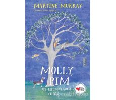Molly, Pim ve Milyonlarca Yıldız - Martine Murray - Can Çocuk Yayınları