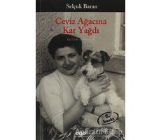 Ceviz Ağacına Kar Yağdı - Selçuk Baran - Yapı Kredi Yayınları