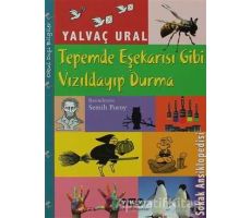 Tepemde Eşek Arısı Gibi Vızıldayıp Durma - Yalvaç Ural - Yapı Kredi Yayınları