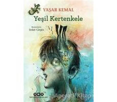 Yeşil Kertenkele - Yaşar Kemal - Yapı Kredi Yayınları