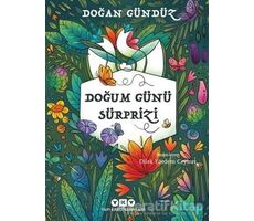 Doğum Günü Sürprizi - Doğan Gündüz - Yapı Kredi Yayınları