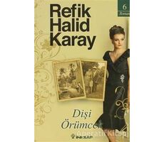 Dişi Örümcek - Refik Halid Karay - İnkılap Kitabevi